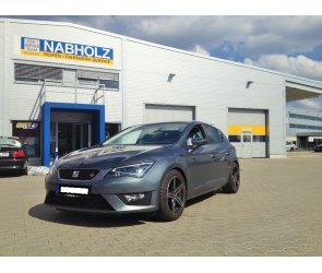 Eibach Tieferlegungsfedern Sportline für Seat Leon Typ 5F für Starrachse an der HA, Comfort Version